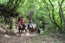 Italy-Tuscany-On Etruscan Trails in Tuscany